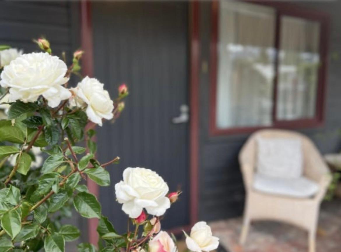 #2 Glenorchy Alpine Suite Екстер'єр фото